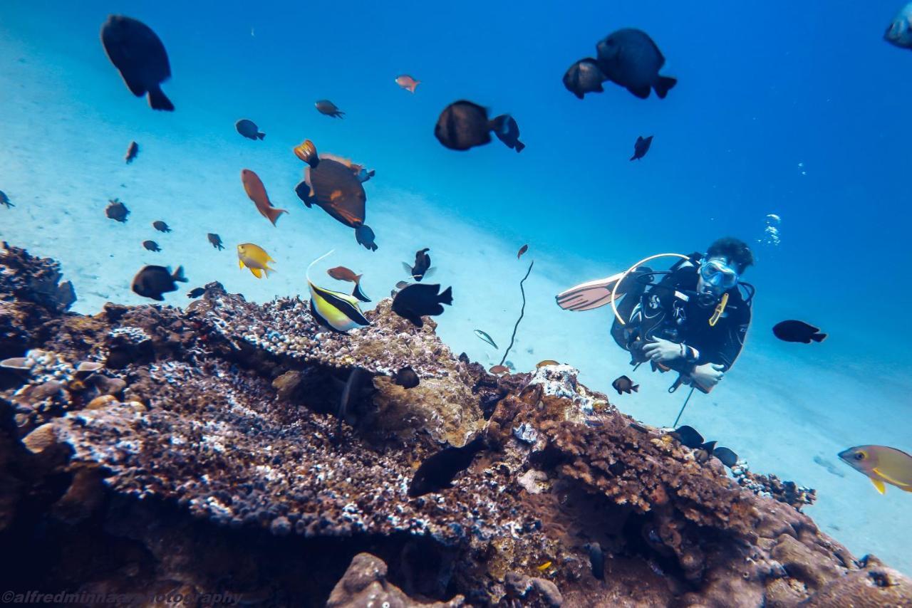 Manta Dive Gili Trawangan Resort Bagian luar foto